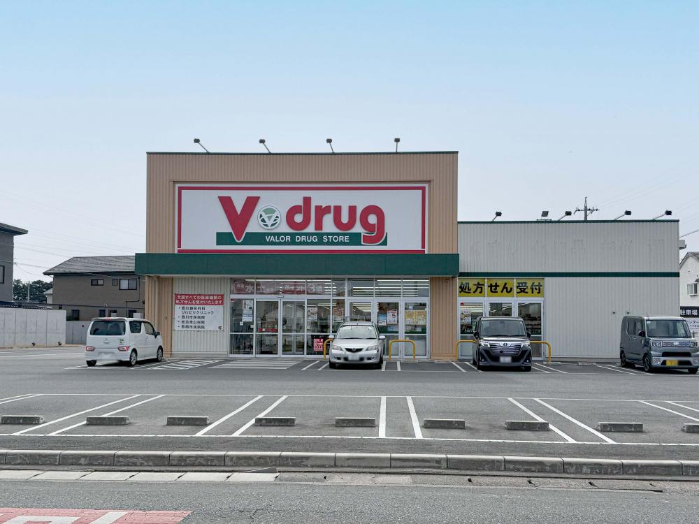 Vdrug豊川下長山店