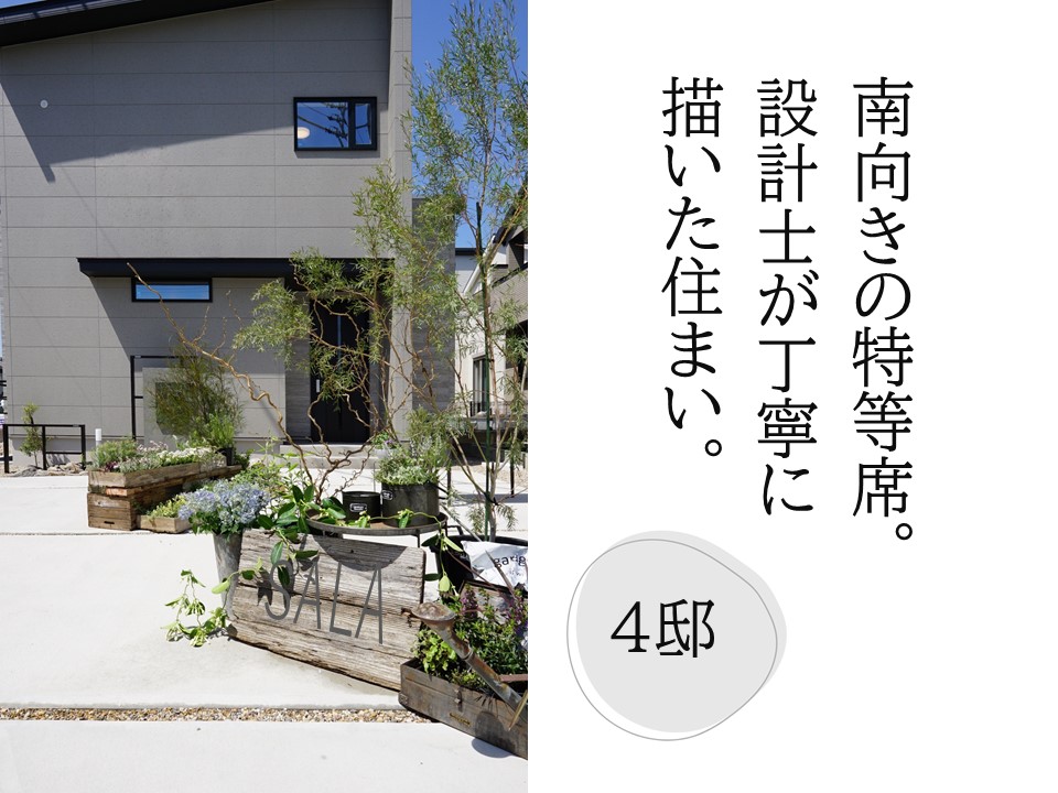 弥生町～南通り～