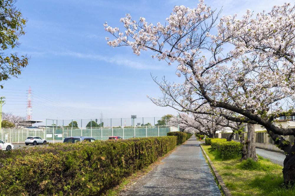 知多運動公園