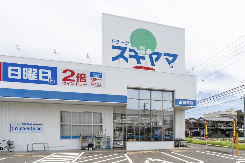ドラッグスギヤマ古知野店