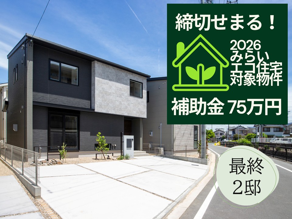 弥生町～南通り～
