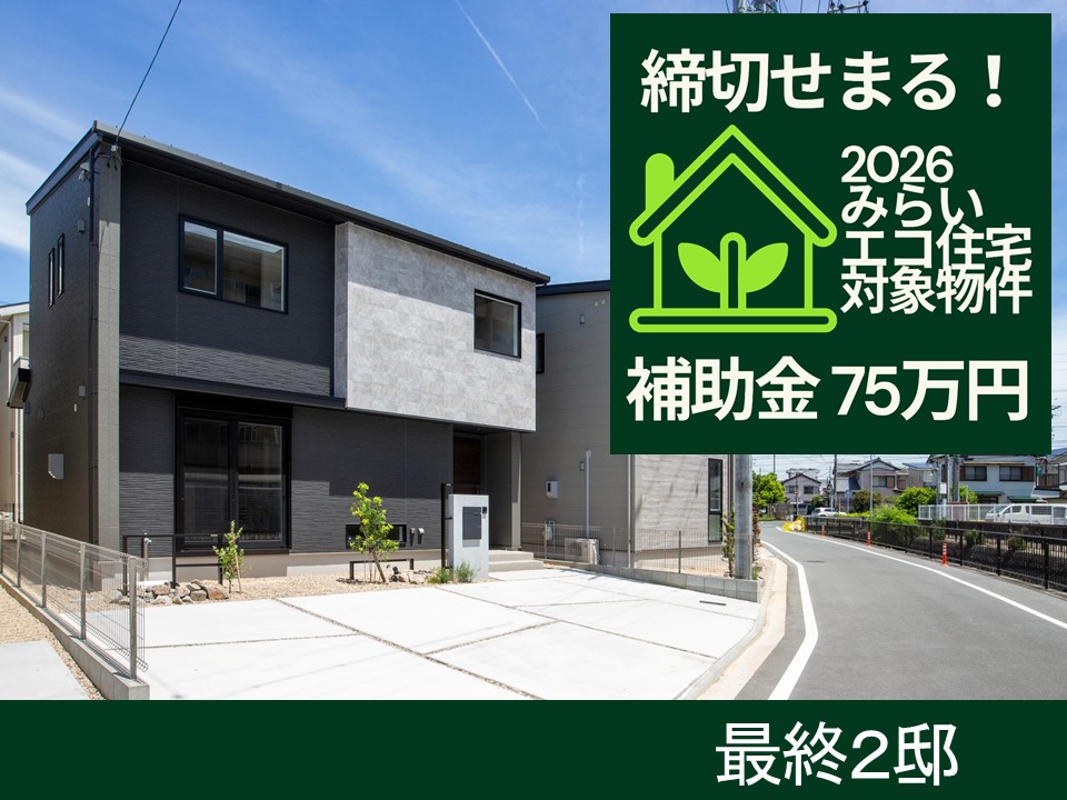 弥生町～南通り～