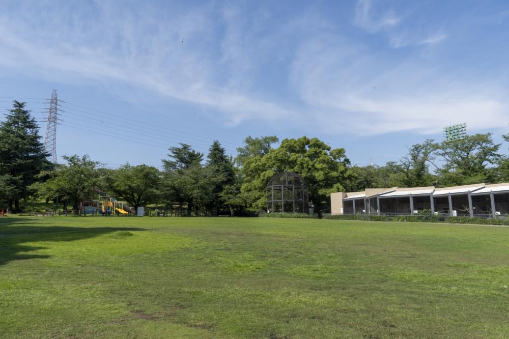 Kasettto Image2